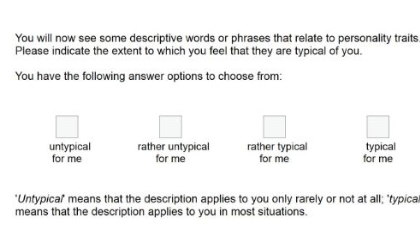 BFSI Big Five Structure Inventory